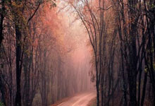 切爾西宣布羅斯-巴克利租借加盟阿斯頓維拉.