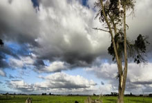 金年会体育:西甲第4輪皇家馬德裏2-1赫塔菲 貝林厄姆補時絕殺!連續四戰進球 皇馬逆轉赫塔菲!.