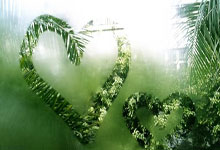 金年会体育官网入口:楊瀚森砍下30分15籃板 米奇貢獻29分11籃板6助攻 青島隊險勝福建隊.